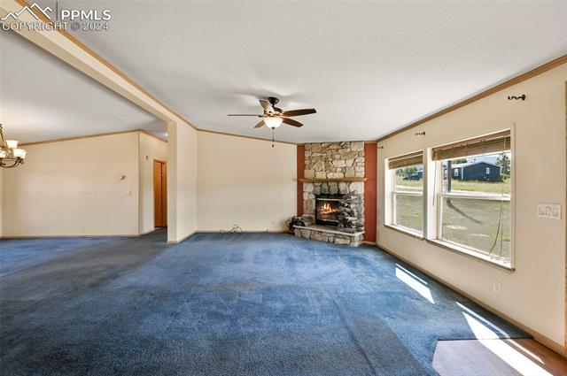 MLS Image for 217 E Minstrel  ,Divide, Colorado