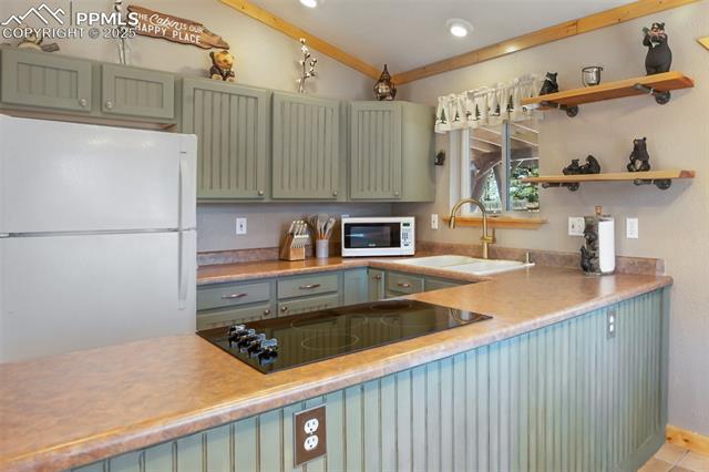 MLS Image for 31  Handcart  ,Florissant, Colorado