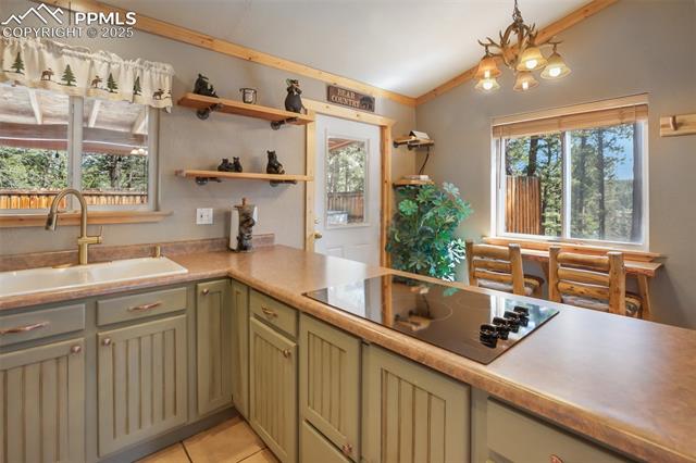 MLS Image for 31  Handcart  ,Florissant, Colorado
