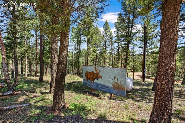 MLS Image for 31  Handcart  ,Florissant, Colorado
