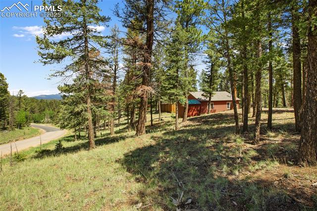 MLS Image for 31  Handcart  ,Florissant, Colorado