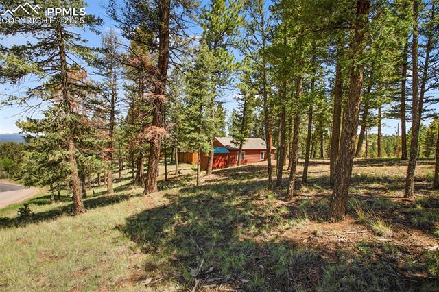 MLS Image for 31  Handcart  ,Florissant, Colorado