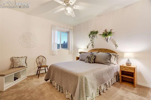 MLS Image for 4618  Bethany  ,Colorado Springs, Colorado