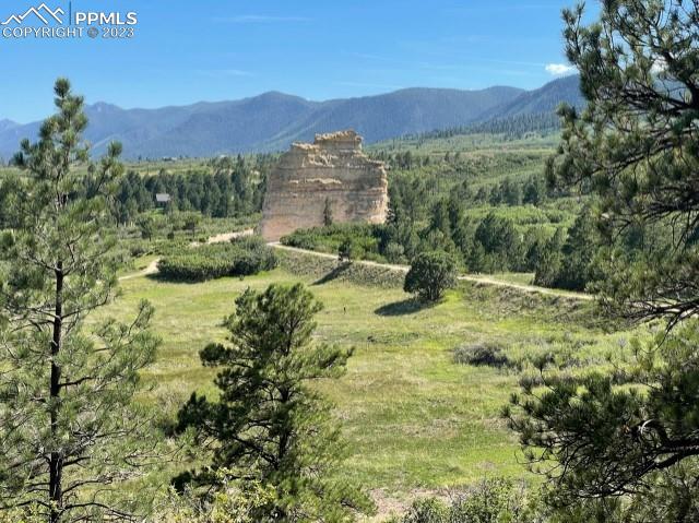 MLS Image for 16126  Mountain Flax  ,Monument, Colorado