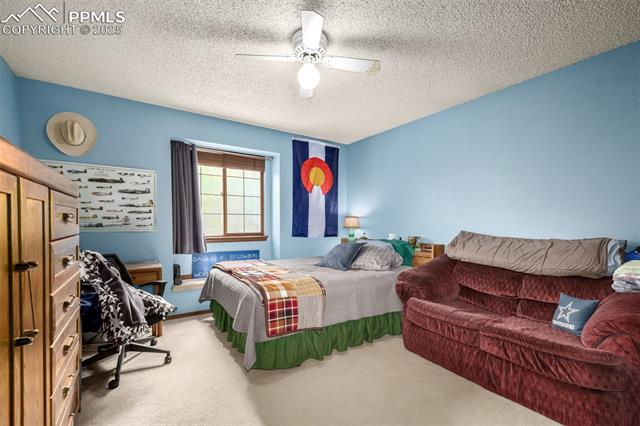 MLS Image for 5328  Cliff Point  ,Colorado Springs, Colorado