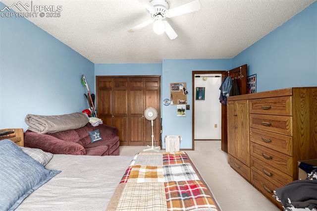 MLS Image for 5328  Cliff Point  ,Colorado Springs, Colorado