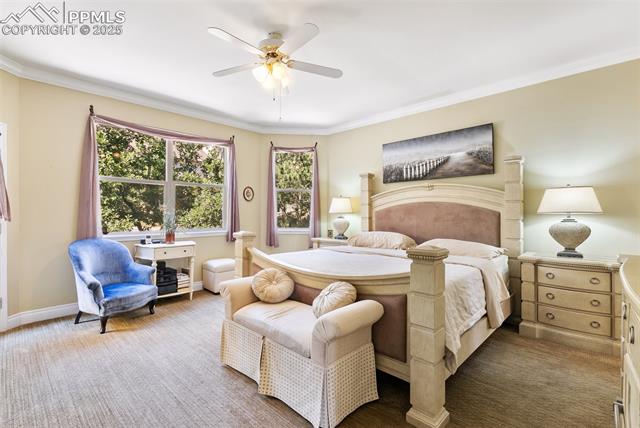 MLS Image for 1360  Chartwell  ,Colorado Springs, Colorado