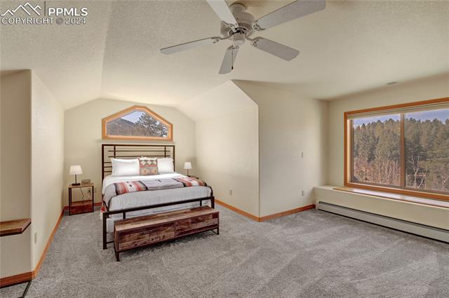 MLS Image for 740  Sunrise  ,Woodland Park, Colorado