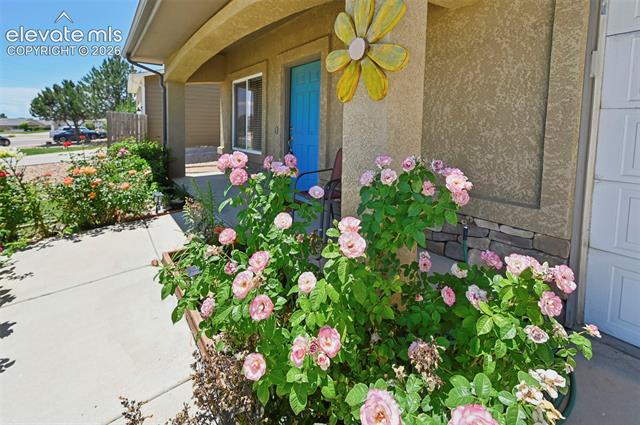 MLS Image for 5053  Killdeer  ,Pueblo, Colorado
