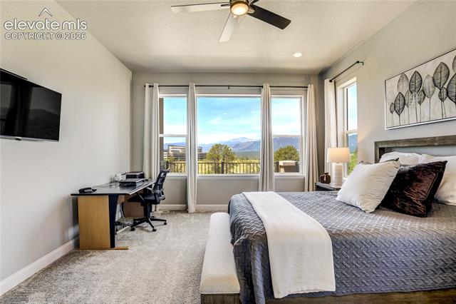 MLS Image for 1011  Charismatic  ,Colorado Springs, Colorado