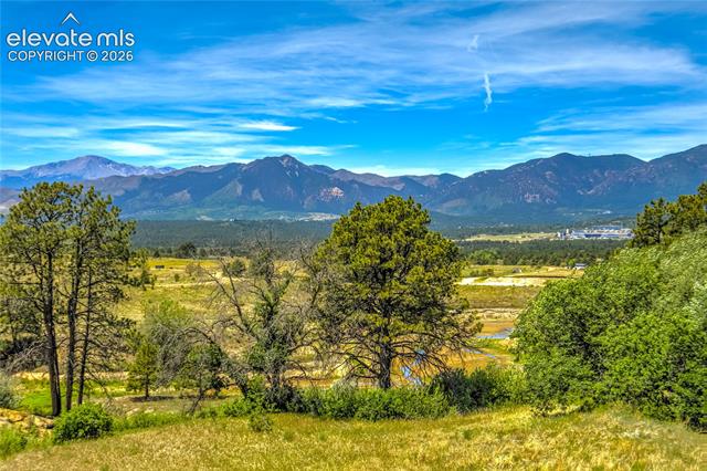 MLS Image for 1011  Charismatic  ,Colorado Springs, Colorado