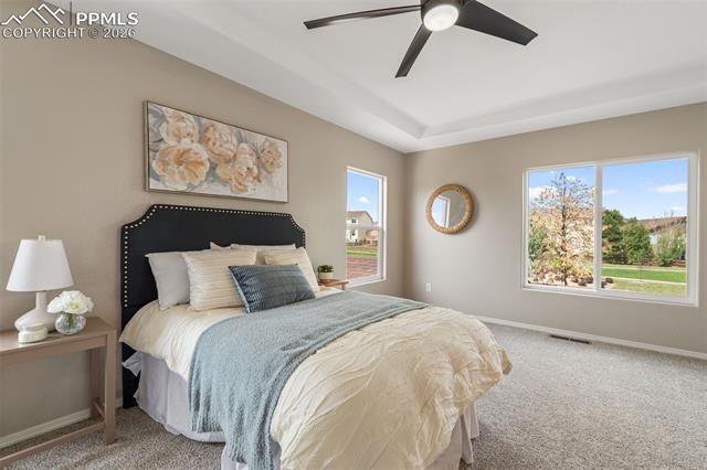 MLS Image for 12252  Point Reyes  ,Peyton, Colorado
