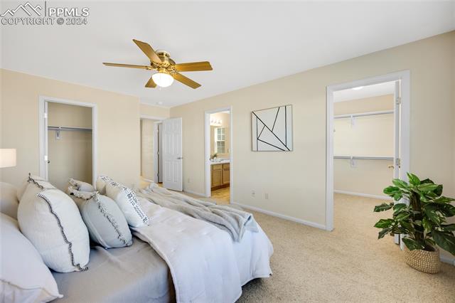 MLS Image for 6341  Alibi  ,Colorado Springs, Colorado