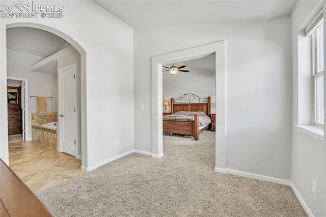 MLS Image for 6516  Cubbage  ,Colorado Springs, Colorado