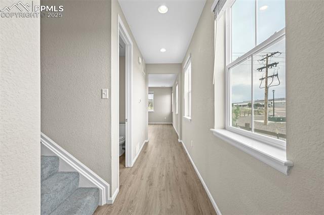 MLS Image for 16478  Mountain Flax  ,Monument, Colorado