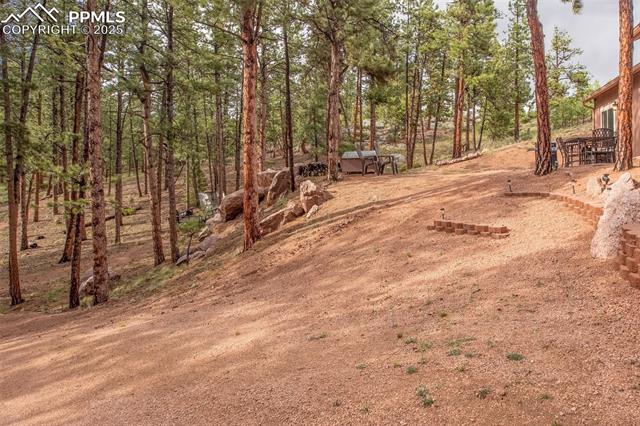 MLS Image for 16  Rainier  ,Florissant, Colorado