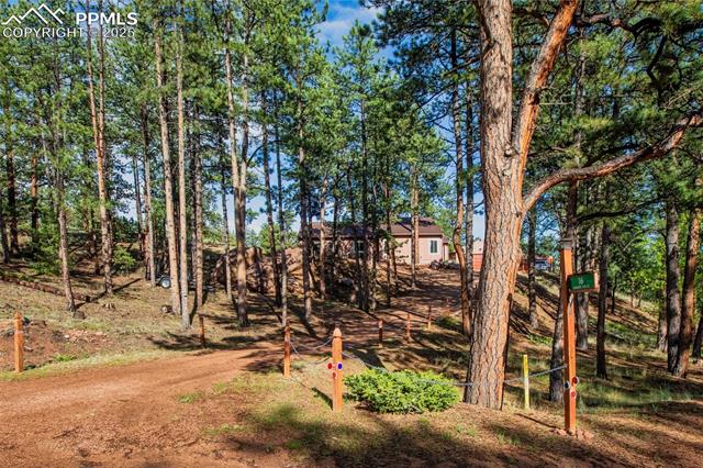 MLS Image for 16  Rainier  ,Florissant, Colorado