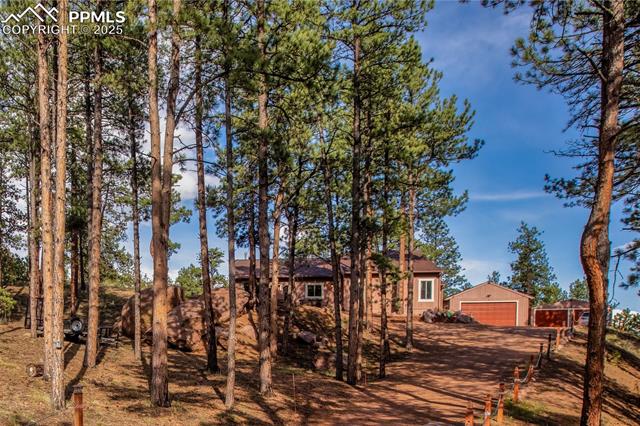 MLS Image for 16  Rainier  ,Florissant, Colorado