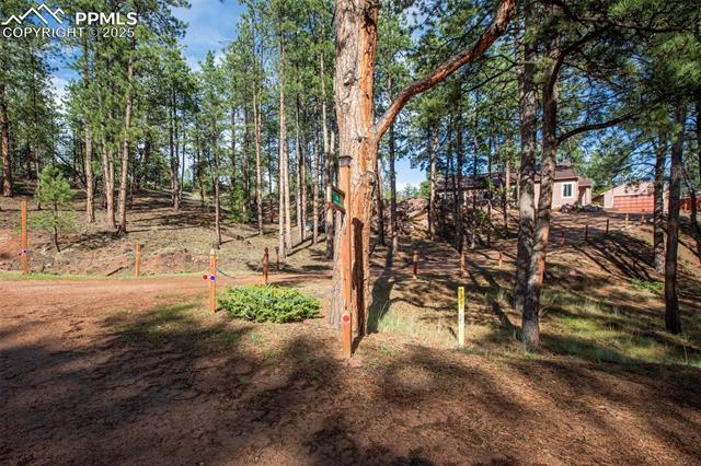 MLS Image for 16  Rainier  ,Florissant, Colorado