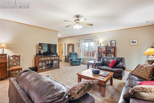 MLS Image for 16  Rainier  ,Florissant, Colorado
