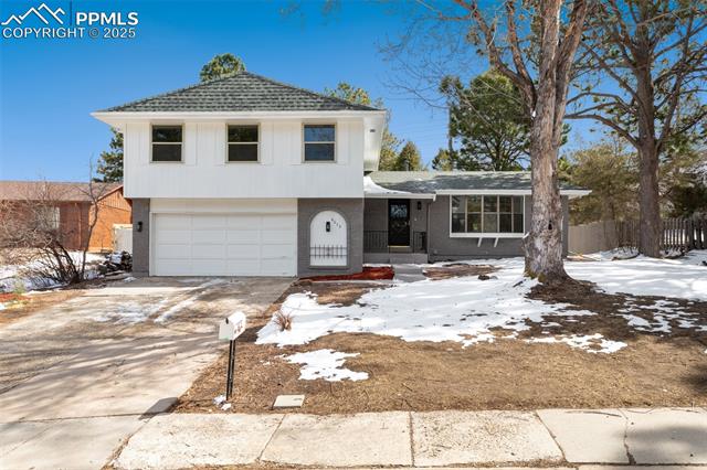 MLS Image for 6075  Castlewood  ,Colorado Springs, Colorado