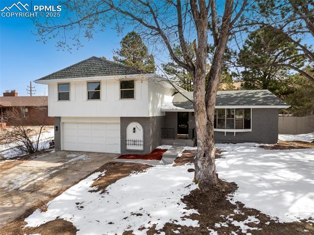 MLS Image for 6075  Castlewood  ,Colorado Springs, Colorado