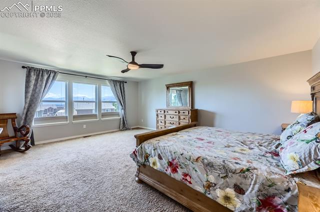 MLS Image for 995  Diamond Rim  ,Colorado Springs, Colorado