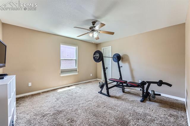 MLS Image for 995  Diamond Rim  ,Colorado Springs, Colorado