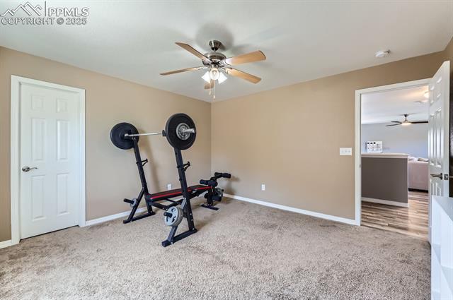 MLS Image for 995  Diamond Rim  ,Colorado Springs, Colorado