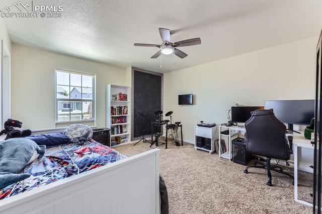 MLS Image for 995  Diamond Rim  ,Colorado Springs, Colorado