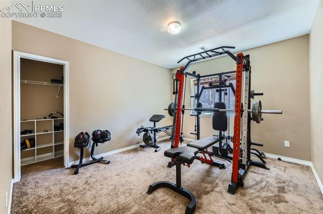 MLS Image for 995  Diamond Rim  ,Colorado Springs, Colorado