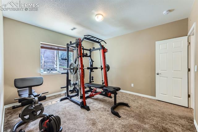 MLS Image for 995  Diamond Rim  ,Colorado Springs, Colorado