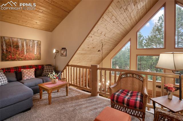 MLS Image for 2255  Spruce  ,Woodland Park, Colorado