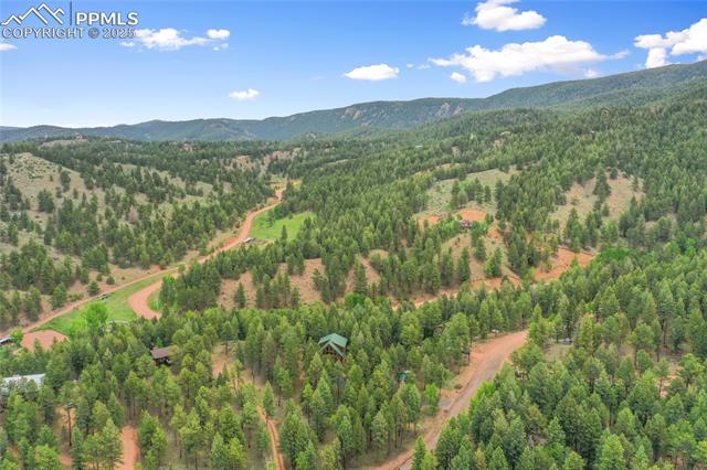MLS Image for 2255  Spruce  ,Woodland Park, Colorado