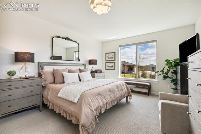 MLS Image for 3251  Virga  ,Colorado Springs, Colorado