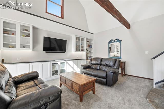 MLS Image for 164  Aspen  ,Divide, Colorado