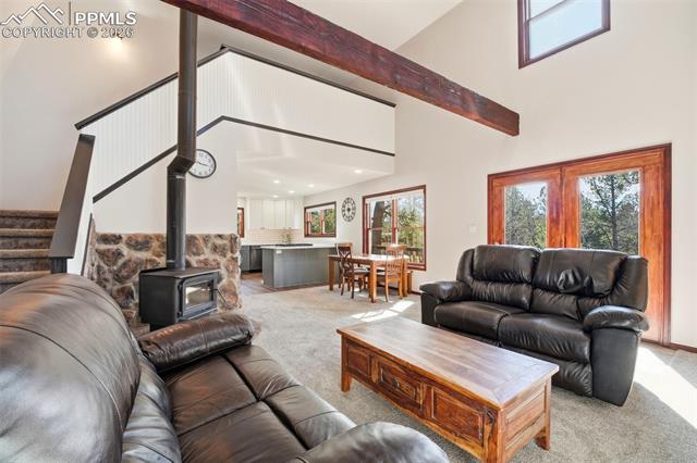 MLS Image for 164  Aspen  ,Divide, Colorado
