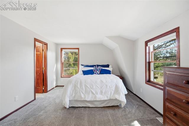 MLS Image for 164  Aspen  ,Divide, Colorado