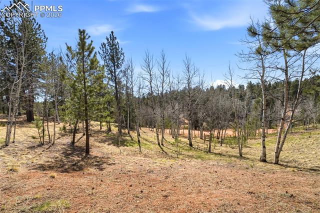 MLS Image for 164  Aspen  ,Divide, Colorado