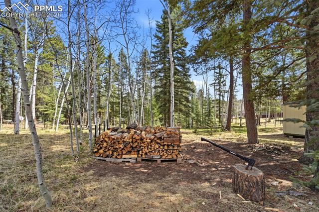 MLS Image for 164  Aspen  ,Divide, Colorado
