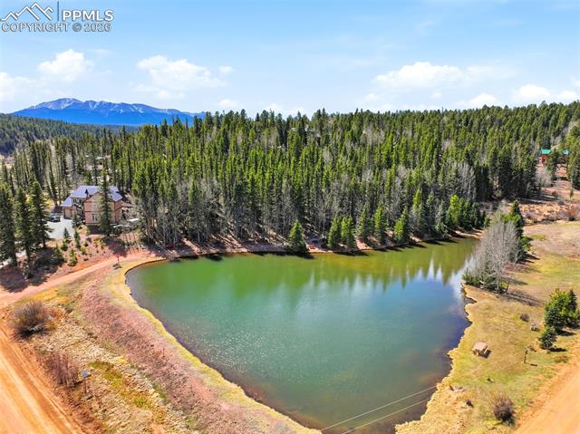 MLS Image for 164  Aspen  ,Divide, Colorado