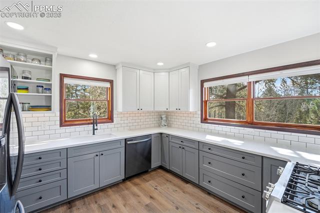MLS Image for 164  Aspen  ,Divide, Colorado