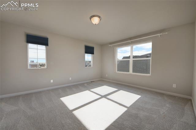 MLS Image for 2832  Namib  ,Colorado Springs, Colorado