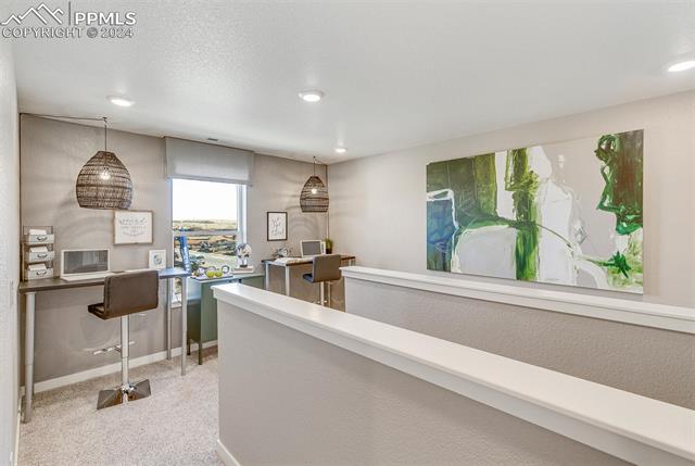 MLS Image for 6023  Scrub Jay  ,Colorado Springs, Colorado