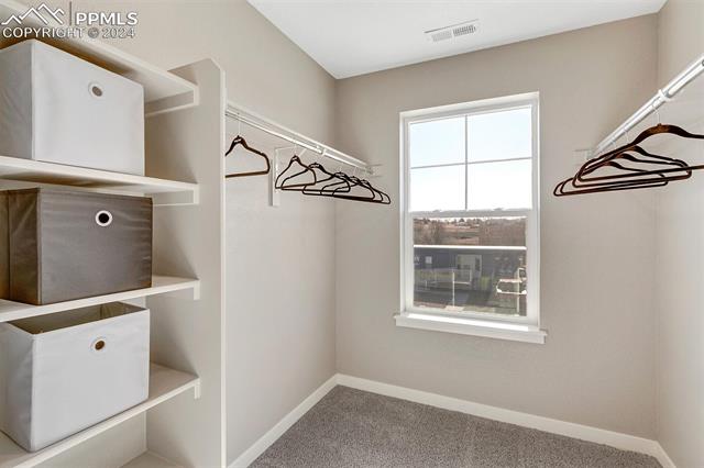 MLS Image for 6023  Scrub Jay  ,Colorado Springs, Colorado