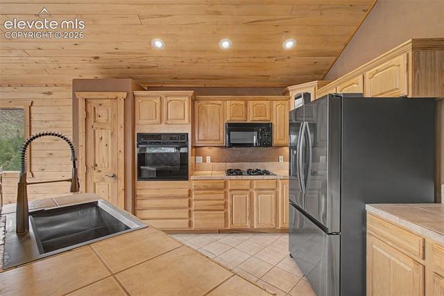 MLS Image for 455  Lost Canyon  ,Florissant, Colorado