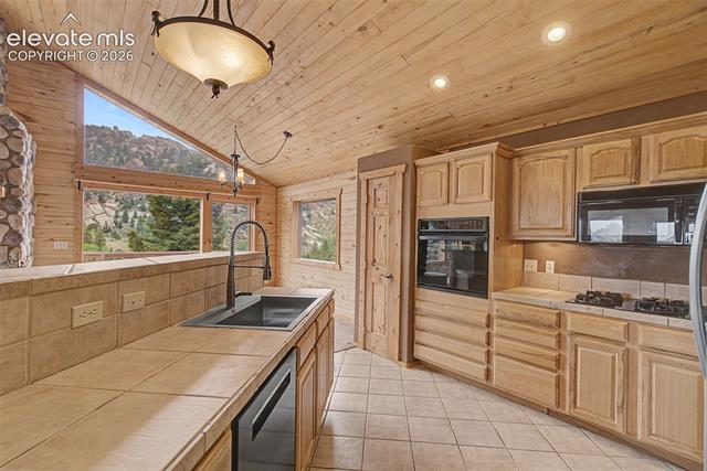 MLS Image for 455  Lost Canyon  ,Florissant, Colorado