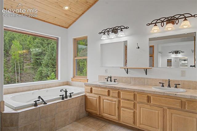 MLS Image for 455  Lost Canyon  ,Florissant, Colorado