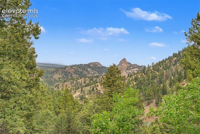 MLS Image for 455  Lost Canyon  ,Florissant, Colorado