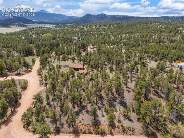 MLS Image for 187  Thunder Ridge  ,Florissant, Colorado